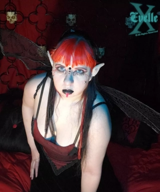 @evellexfree