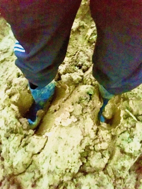@muddysideup