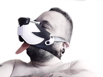 @bearinsidevip