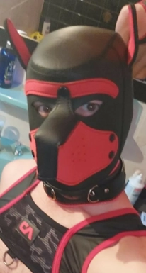 @puppy_onyx