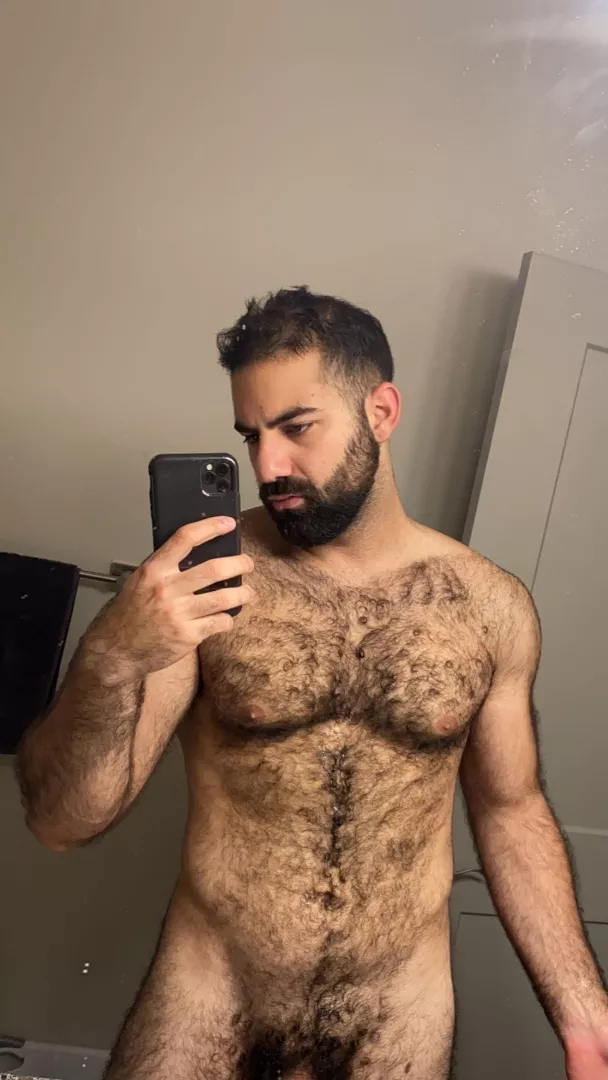 @thelebanesedaddy