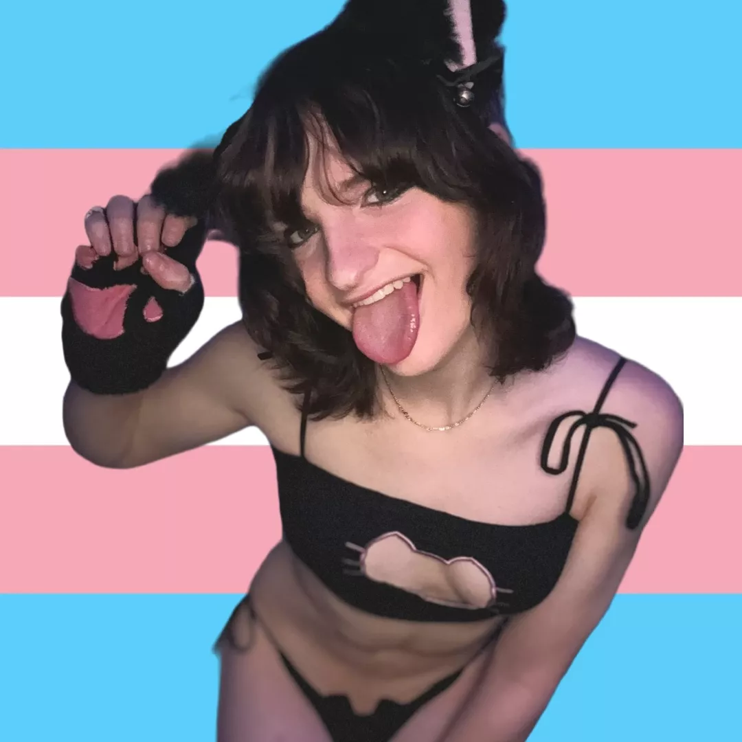 @basedtransgirl