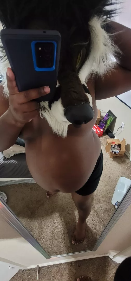 @bigoverbelly