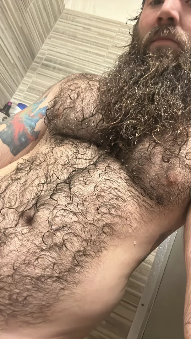 @beardsandbellybuttons