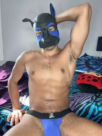 @pup_rocket