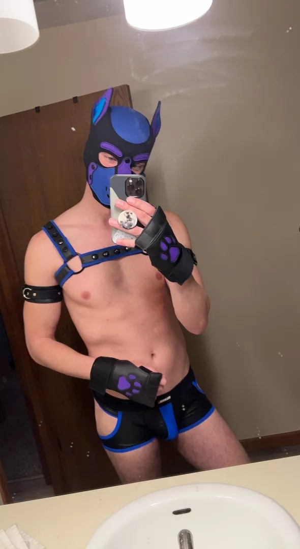 @puptazz