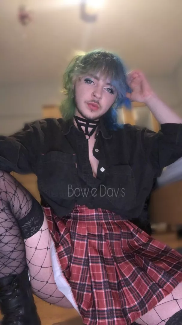 @bowie_davis