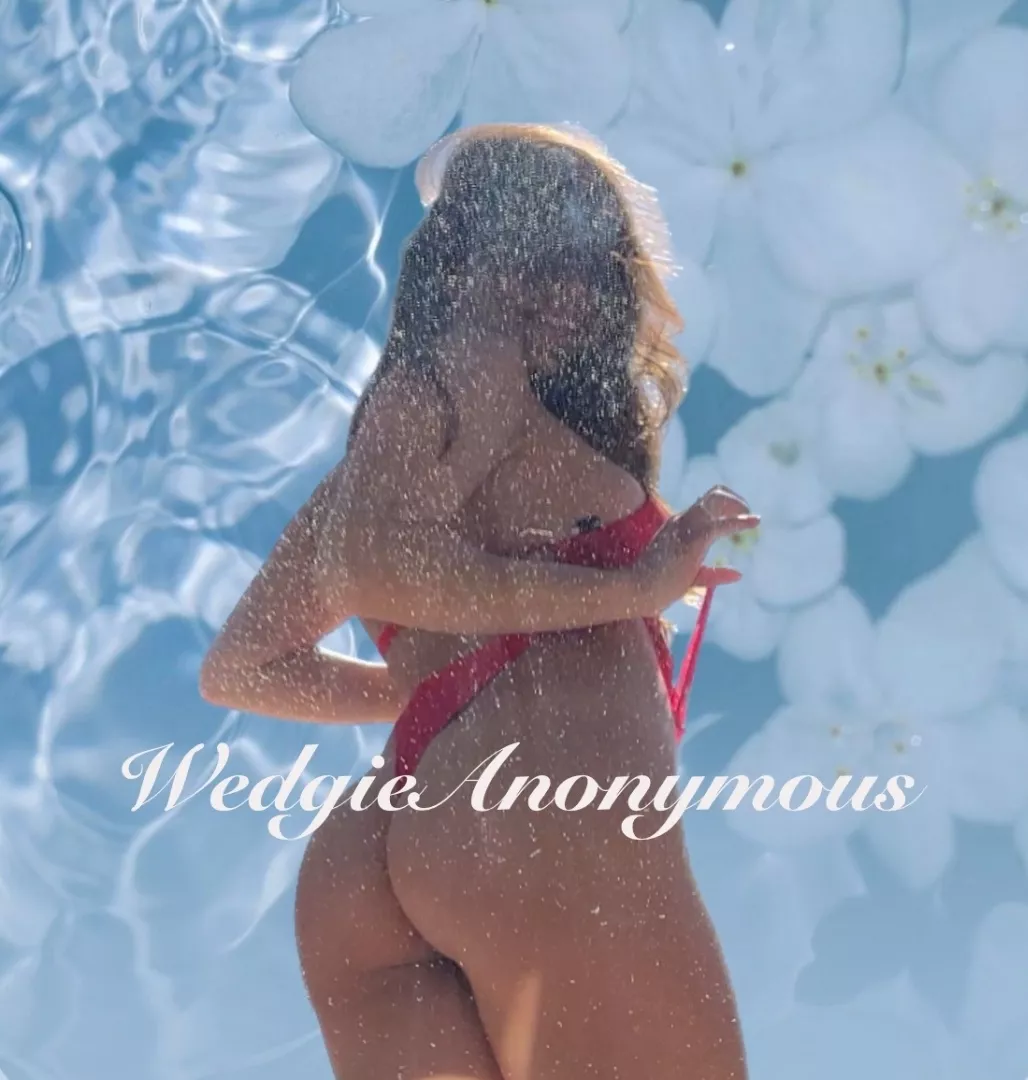 @wedgieanonymous