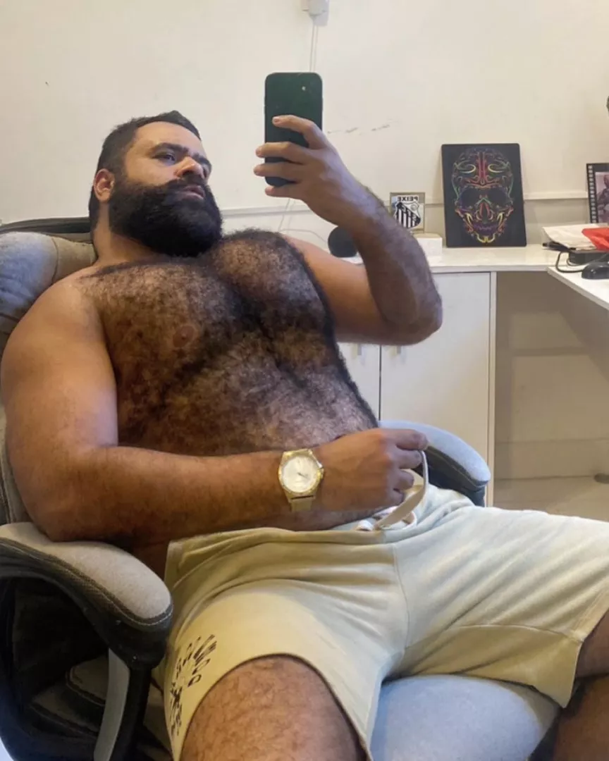 @bearwoofbr