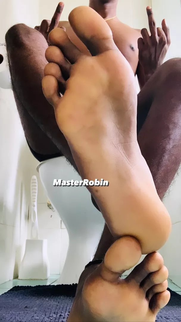 @findomrobin