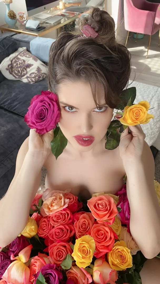 @amandacerny