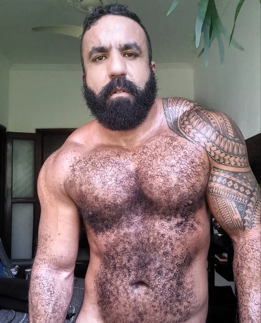 @musclebearbrazil