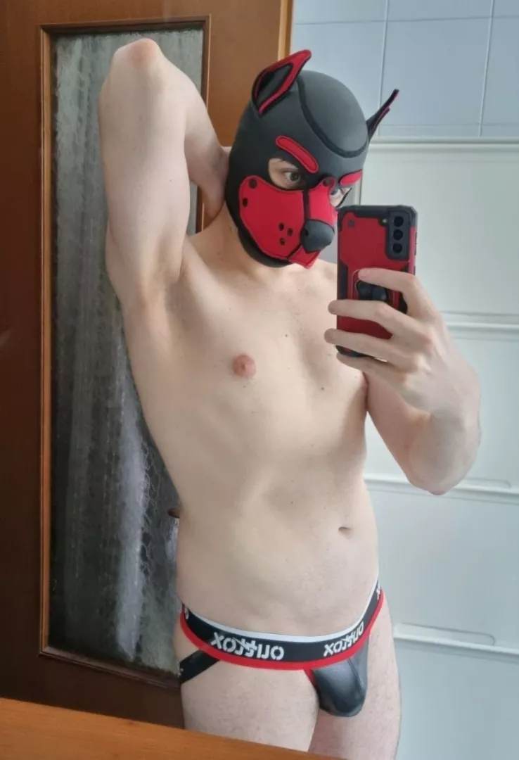 @pup_nyar