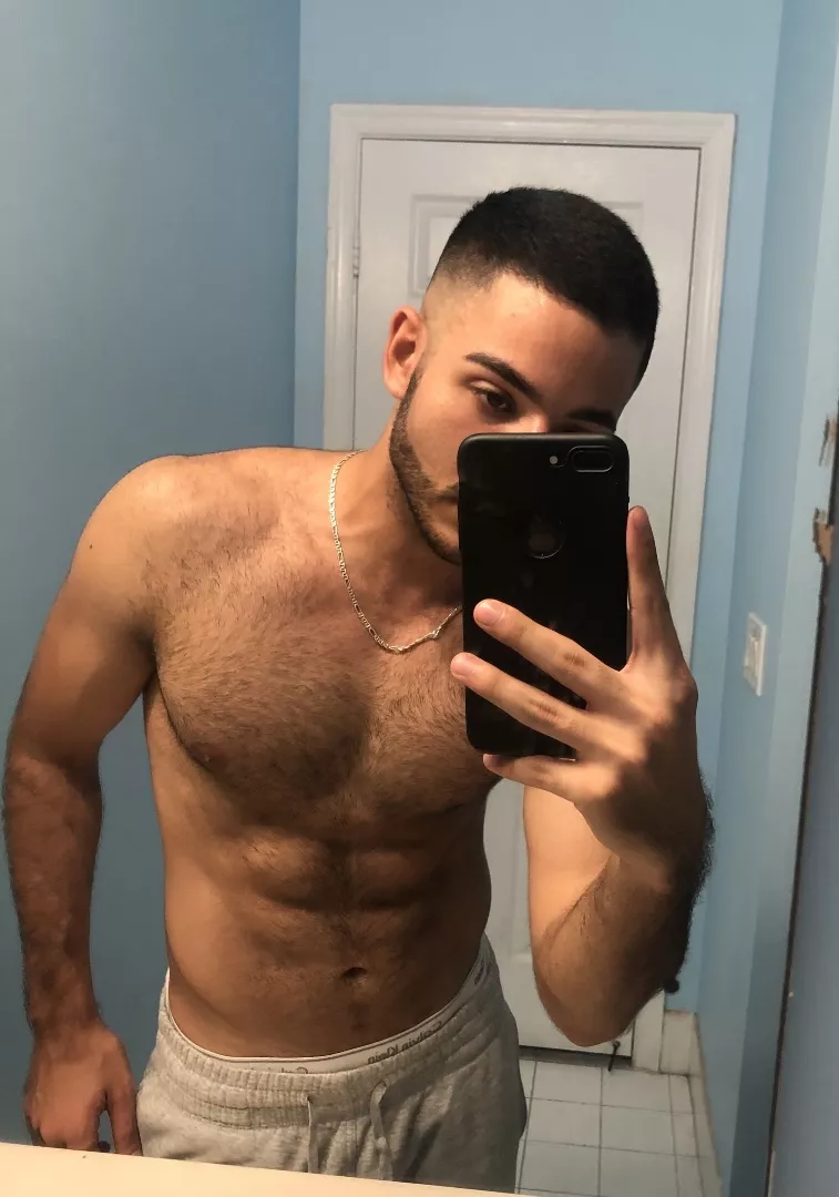 @lebanesepapi