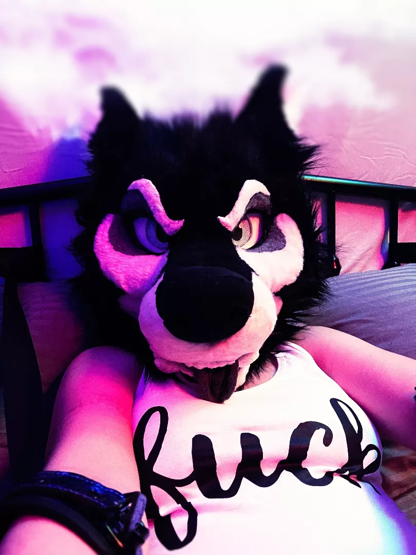 @emmawerewuff