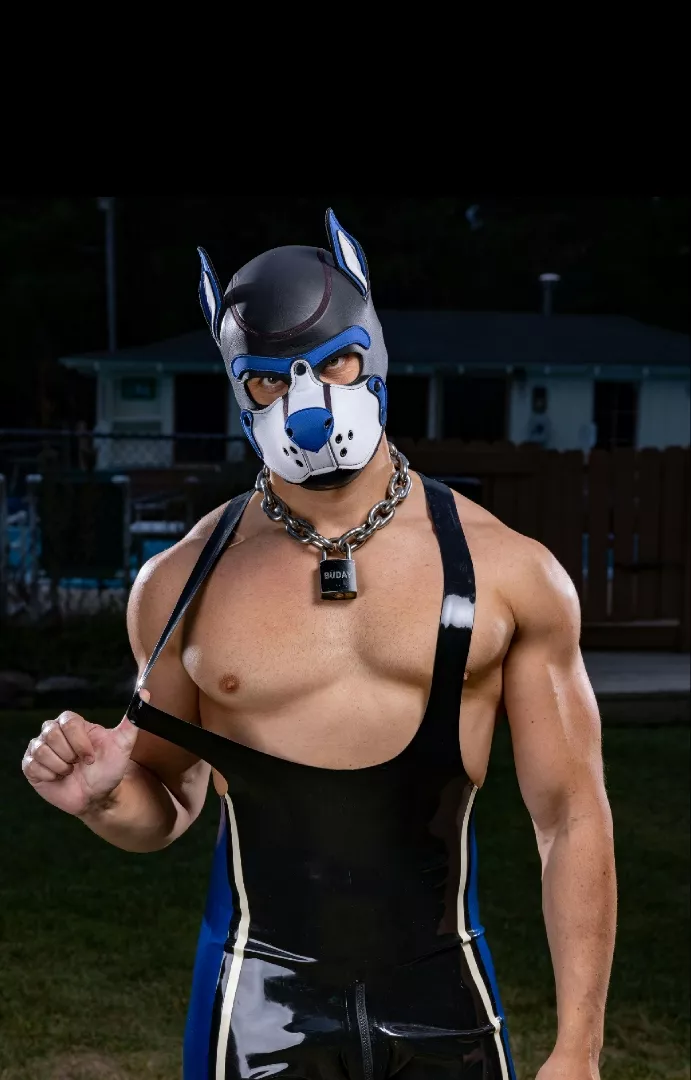 @pupbuday