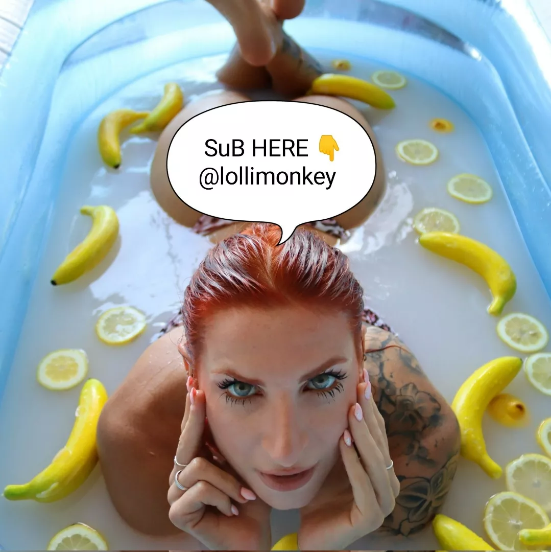 @lollimonkey_free