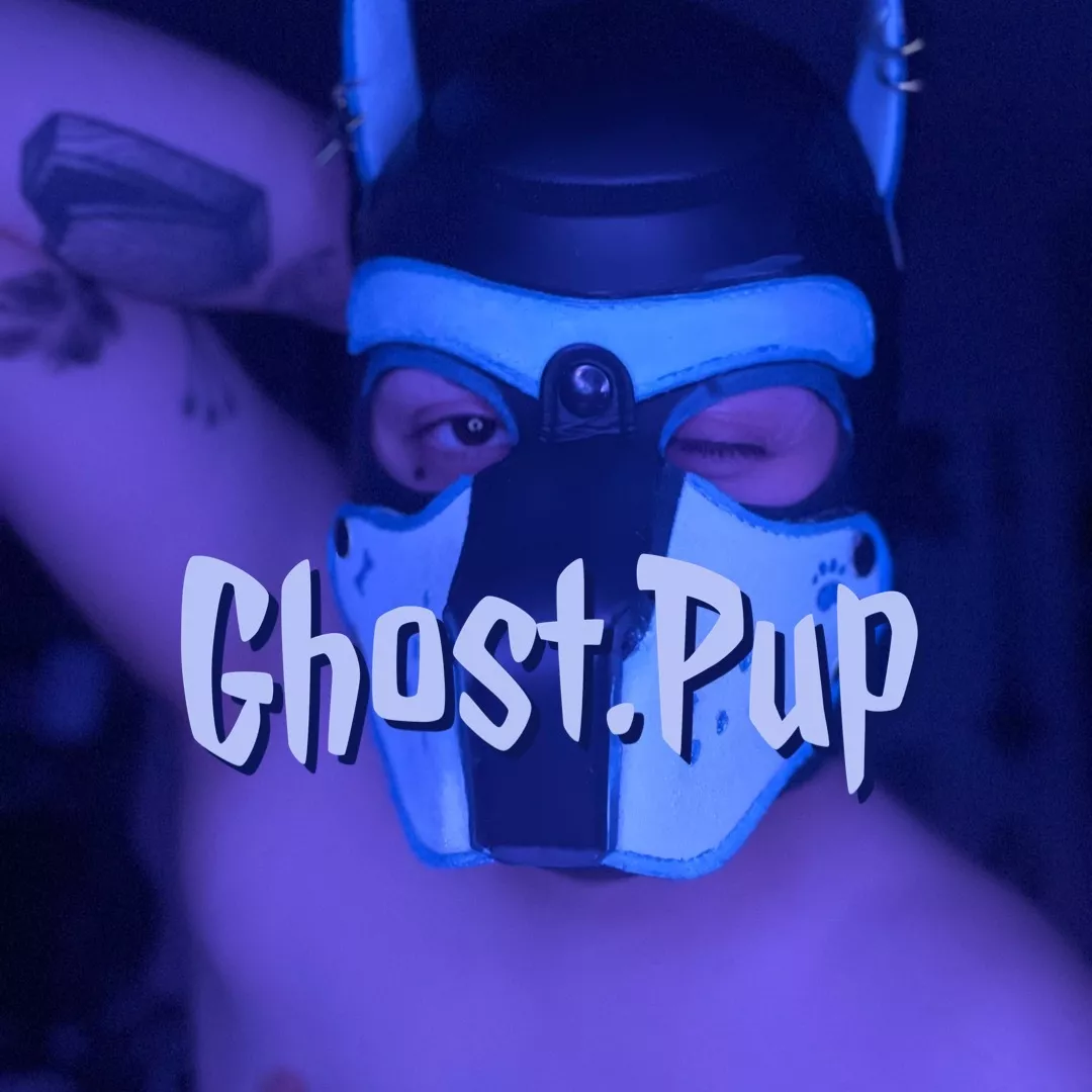 @ghost.pup