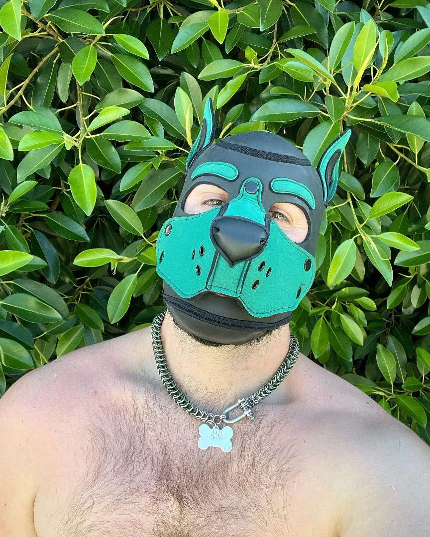 @puptank7