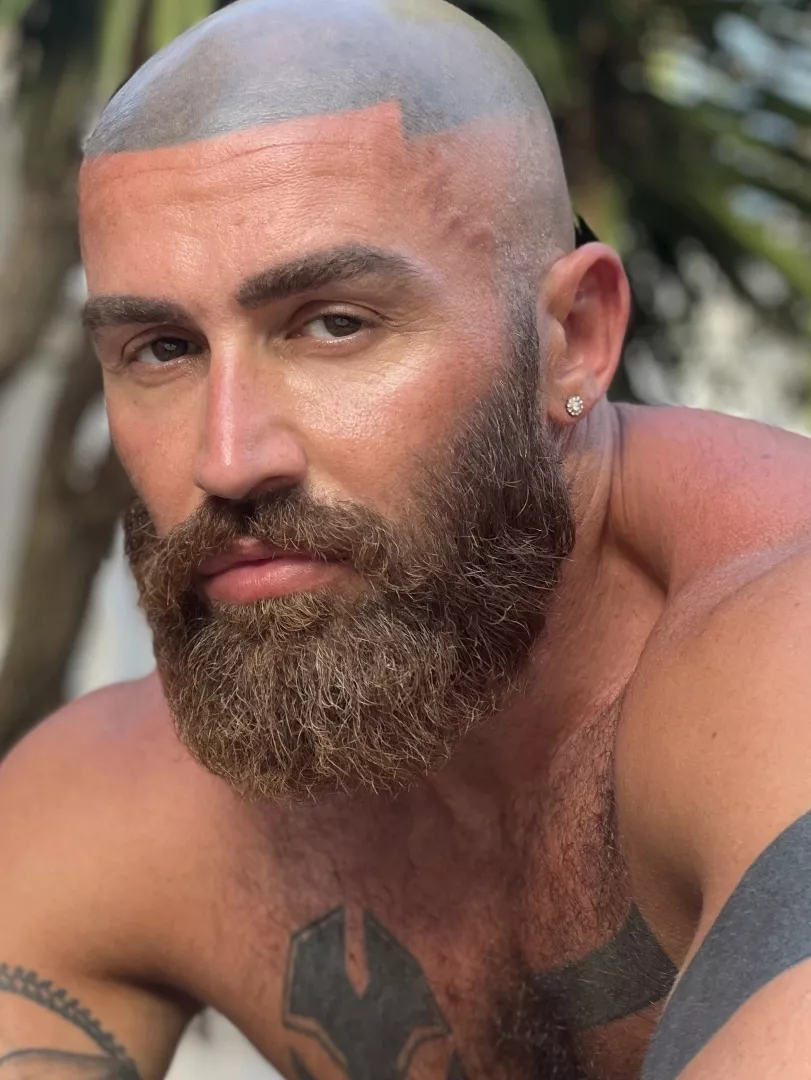 @sagatfrancois