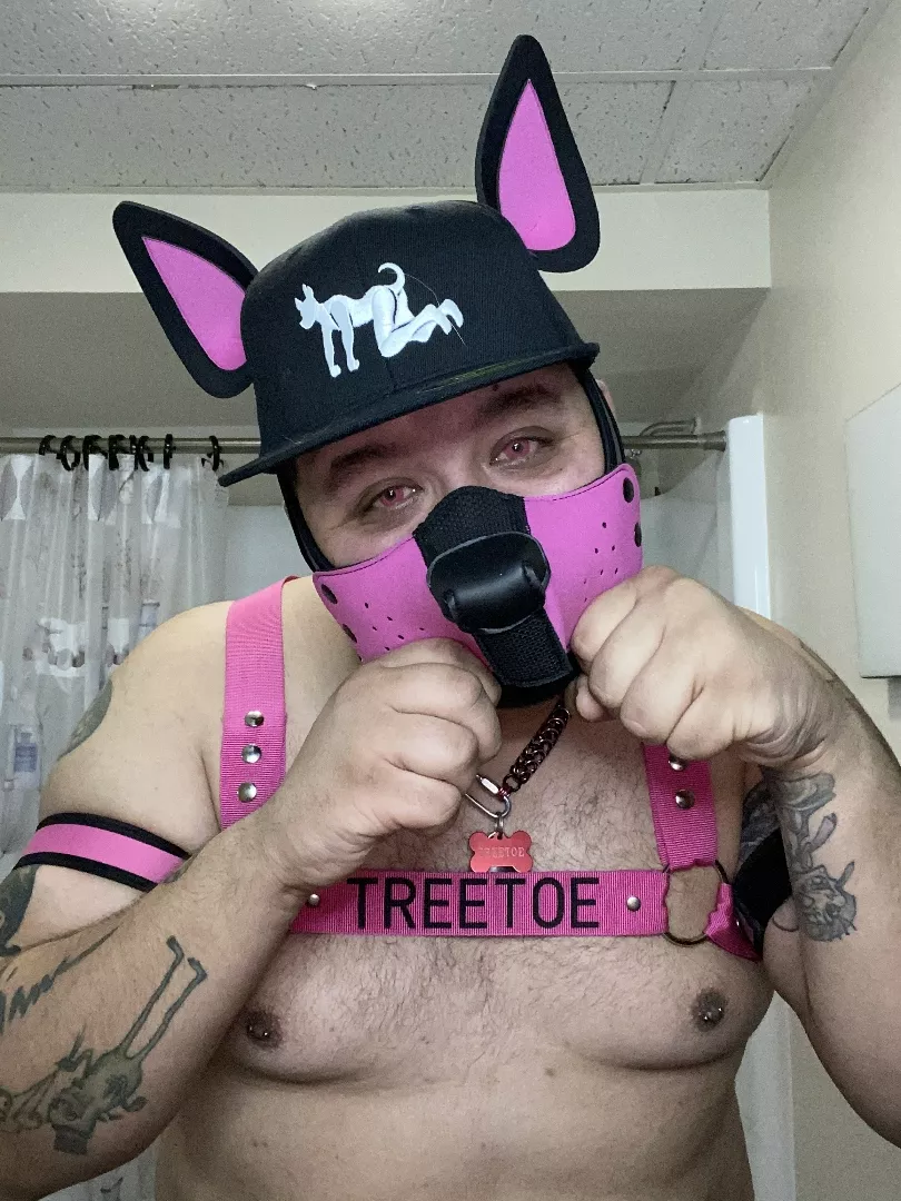 @pup_treetoe