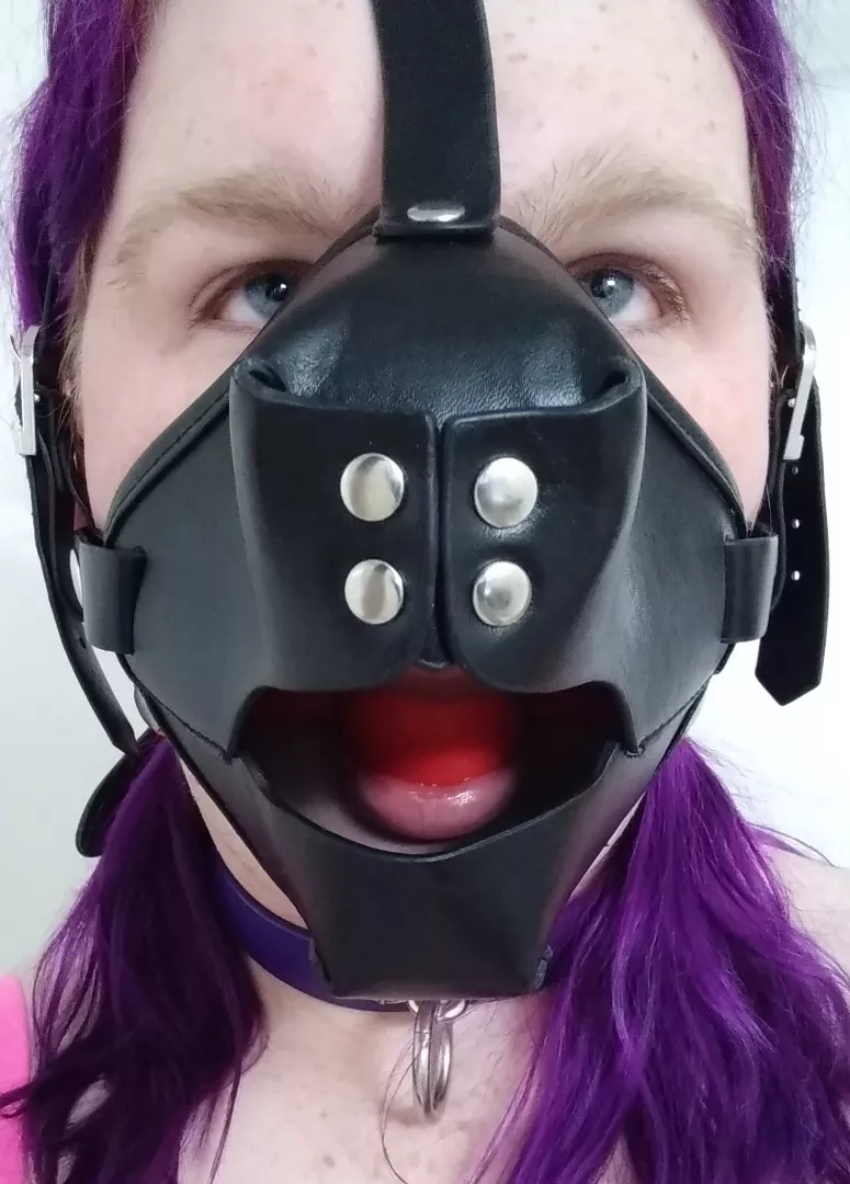 @pupfreya