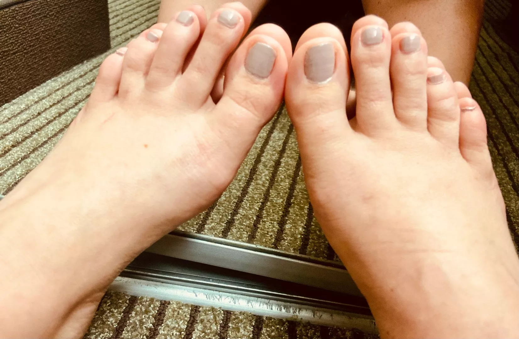 @briarrosetoes