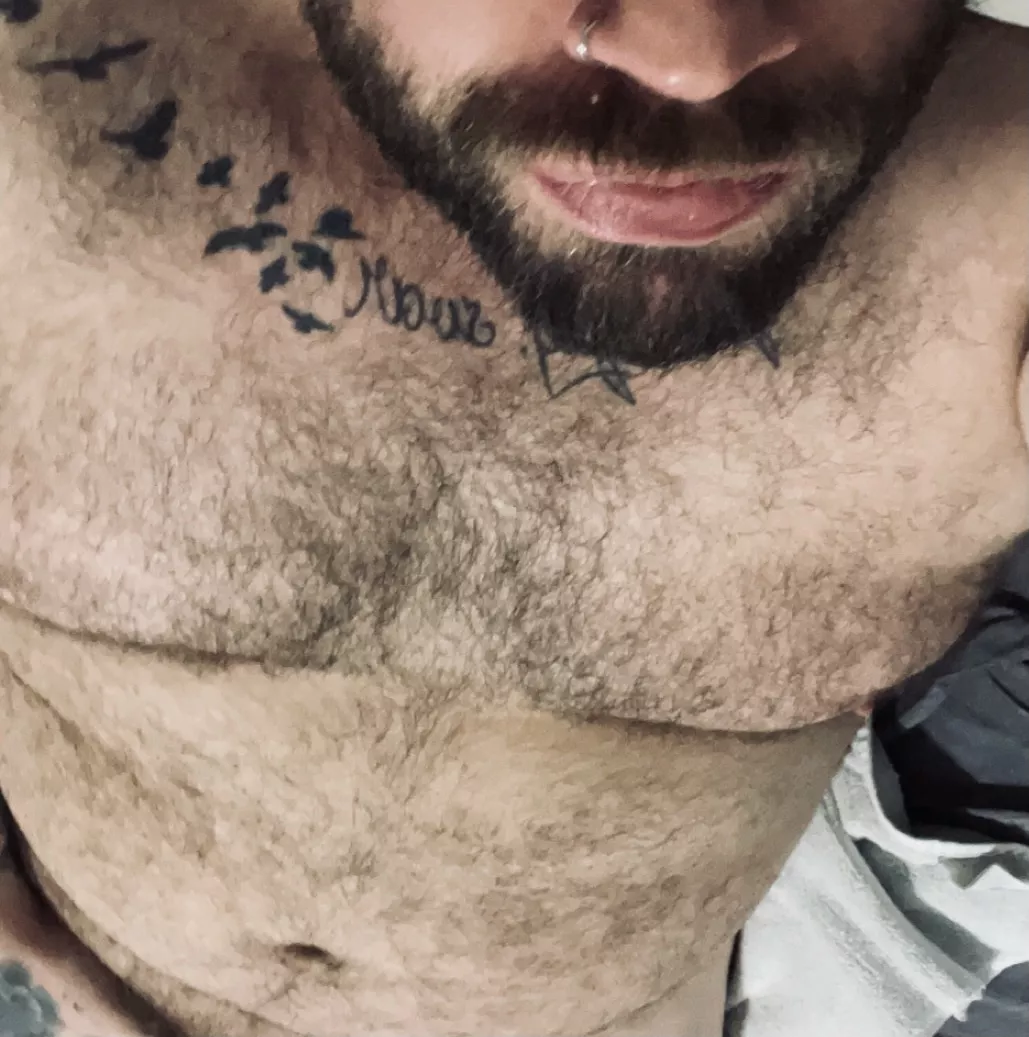 @bkbearcub