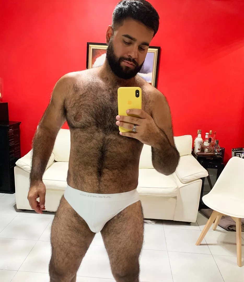 @bearcito1