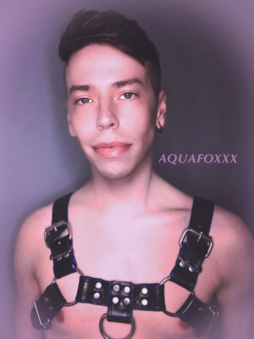 @aquafoxxx