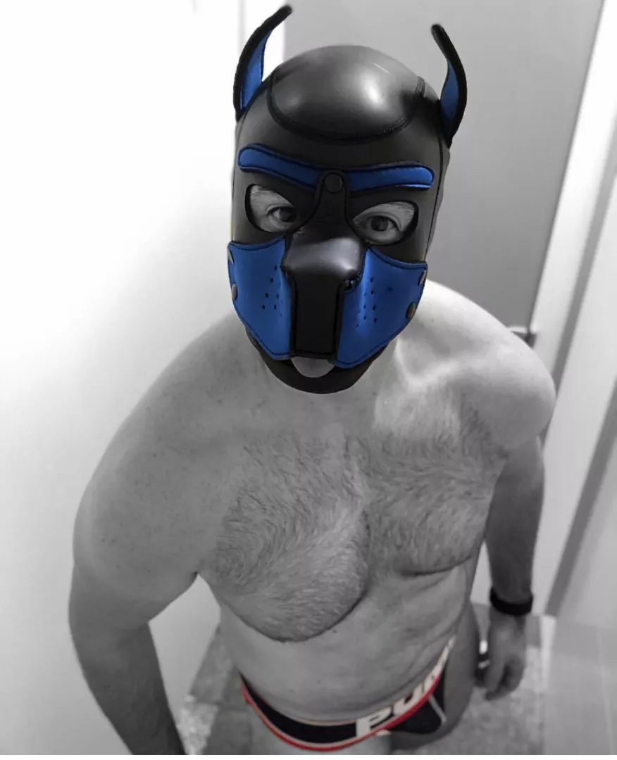 @pupmax_kennel